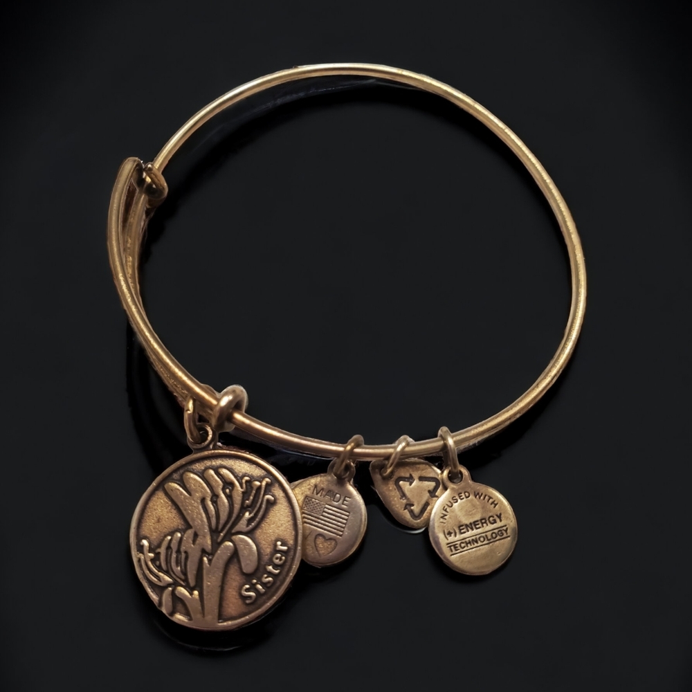 Alex and Ani Sister bracelet 2016 with charms and Box